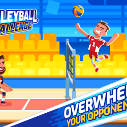 VOLLEYBALL CHALLENGE